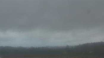 Weather camera view of City of Banks Public Library.