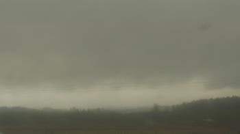 Weather camera view of City of Banks Public Library.