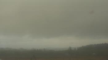 Weather camera view of City of Banks Public Library.