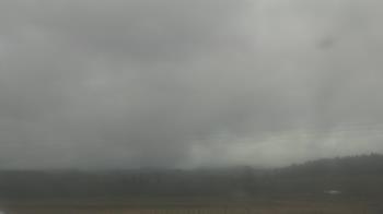 Weather camera view of City of Banks Public Library.