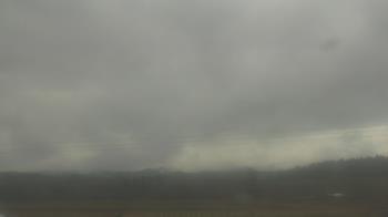 Weather camera view of City of Banks Public Library.