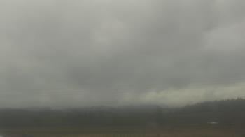 Weather camera view of City of Banks Public Library.