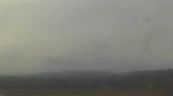 Weather camera view of City of Banks Public Library.