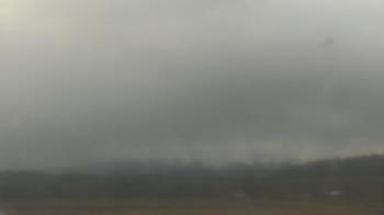 Weather camera view of City of Banks Public Library.