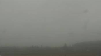 Weather camera view of City of Banks Public Library.