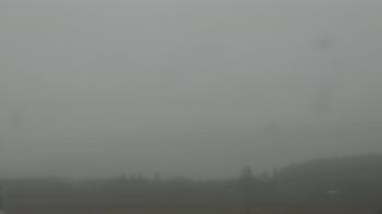 Weather camera view of City of Banks Public Library.