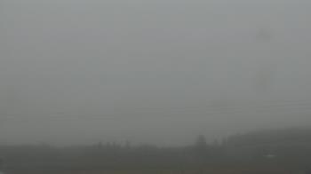 Weather camera view of City of Banks Public Library.