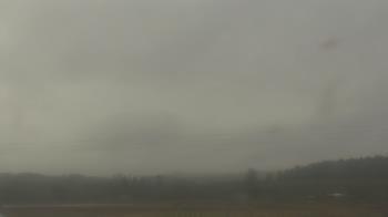 Weather camera view of City of Banks Public Library.