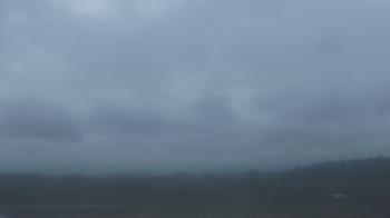 Weather camera view of City of Banks Public Library.