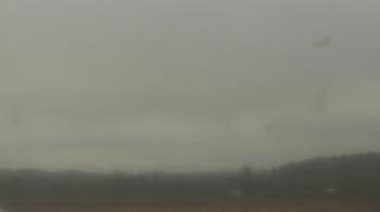 Weather camera view of City of Banks Public Library.