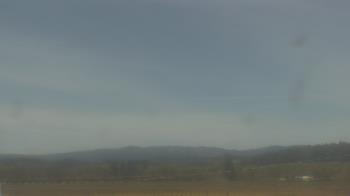 Weather camera view of City of Banks Public Library.