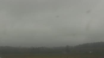 Weather camera view of City of Banks Public Library.