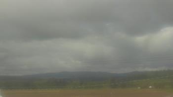 Weather camera view of City of Banks Public Library.