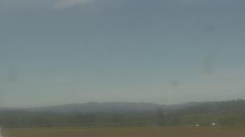 Weather camera view of City of Banks Public Library.