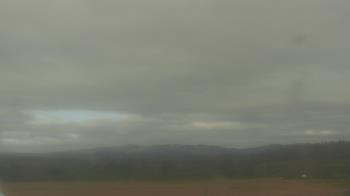 Weather camera view of City of Banks Public Library.