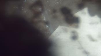 Weather camera view of James River HS.