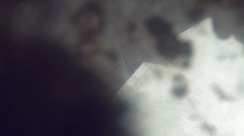 Weather camera view of James River HS.