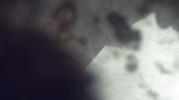 Weather camera view of James River HS.