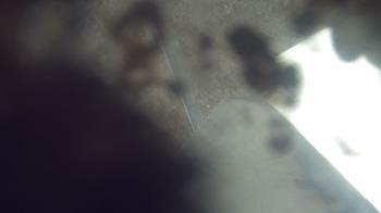 Weather camera view of James River HS.