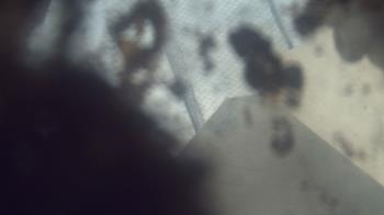 Weather camera view of James River HS.