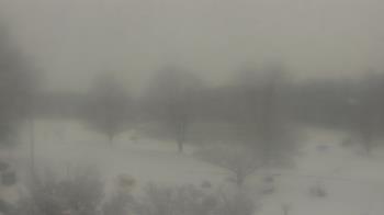 Weather camera view of Big Island Elementary School.