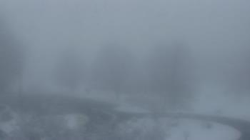 Weather camera view of Big Island Elementary School.