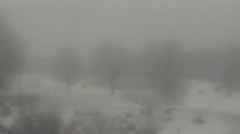 Weather camera view of Big Island Elementary School.