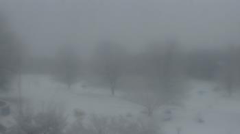 Weather camera view of Big Island Elementary School.