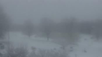 Weather camera view of Big Island Elementary School.