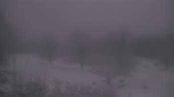 Weather camera view of Big Island Elementary School.