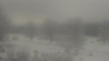 Weather camera view of Big Island Elementary School.