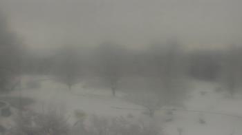 Weather camera view of Big Island Elementary School.