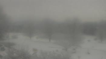 Weather camera view of Big Island Elementary School.