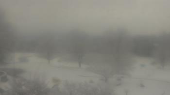 Weather camera view of Big Island Elementary School.