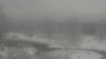 Weather camera view of Big Island Elementary School.