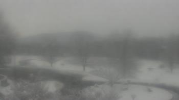 Weather camera view of Big Island Elementary School.