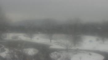 Weather camera view of Big Island Elementary School.