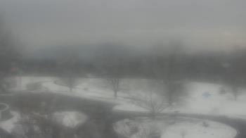 Weather camera view of Big Island Elementary School.