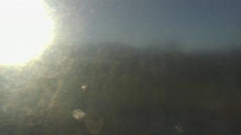 Weather camera view of Big Island Elementary School.