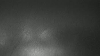 Weather camera view of F L Templeton Preparatory Academy.