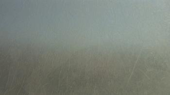 Weather camera view of F L Templeton Preparatory Academy.