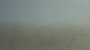 Weather camera view of F L Templeton Preparatory Academy.