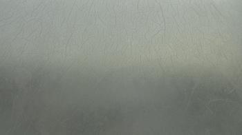 Weather camera view of F L Templeton Preparatory Academy.