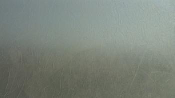 Weather camera view of F L Templeton Preparatory Academy.