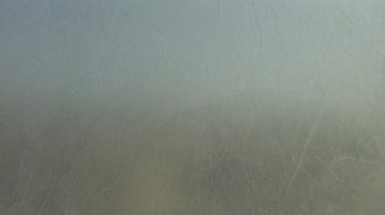 Weather camera view of F L Templeton Preparatory Academy.