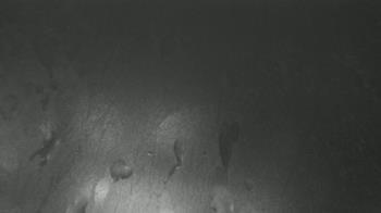 Weather camera view of F L Templeton Preparatory Academy.