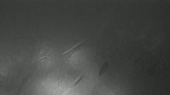 Weather camera view of F L Templeton Preparatory Academy.