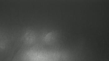 Weather camera view of F L Templeton Preparatory Academy.