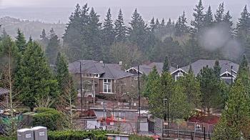 Weather camera view of Open Window School 1200 ft elev Cougar Mtn.