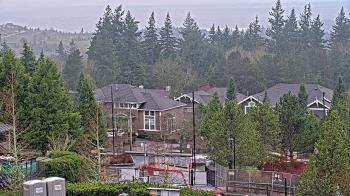 Weather camera view of Open Window School 1200 ft elev Cougar Mtn.